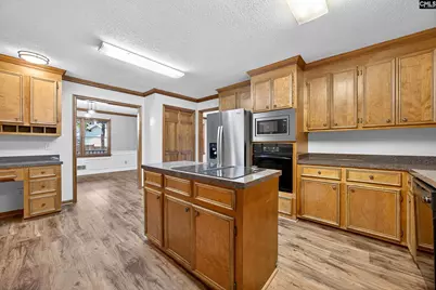 457 Amicks Ferry Road, Chapin, SC 29036 - Photo 19