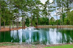 720 Braekel Ct, Lexington, SC 29072 - Photo 47