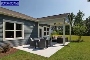 334 Mont Haven Ln, Lexington, SC 29072 - Photo 3