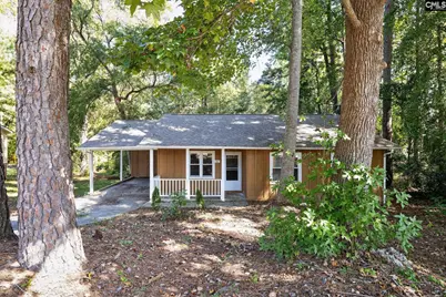 317 Bonbon Lane, Blythewood, SC 29016 - Photo 29