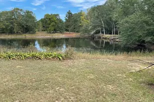 159 Hollow Creek Rd 2+/-Ac, Salley, SC 29137 - Photo 1