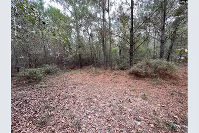 137 Honeysuckle Trail #4, Salley, SC 29137 - Photo 5