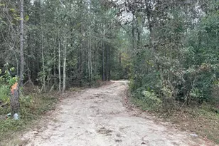 137 Honeysuckle Trail, Salley, SC 29137 - Photo 1