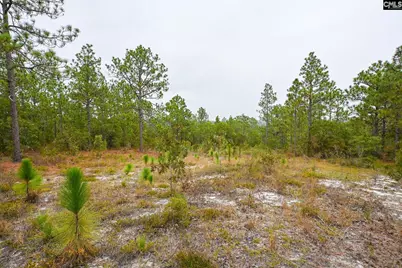 113 Longview Street, Lexington, SC 29073 - Photo 7