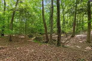 1427 Buck Hill Landing Rd, Ridgeway, SC 29130 - Photo 77