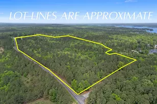 1427 Buck Hill Landing Rd, Ridgeway, SC 29130 - Photo 85