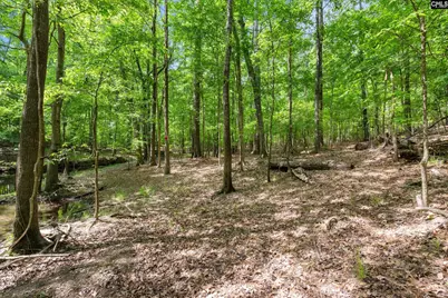 1427 Buck Hill Landing Road, Ridgeway, SC 29130 - Photo 79