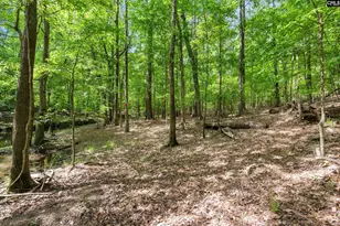 1427 Buck Hill Landing Rd, Ridgeway, SC 29130 - Photo 79