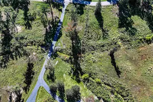 2119 Cherry Laurel Dr, Newberry, SC 29108 - Photo 65