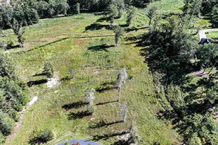 2119 Cherry Laurel Dr, Newberry, SC 29108 - Photo 71