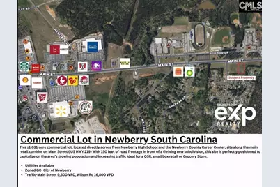 0 Main St/Hwy 219, Newberry, SC 29108 - Photo 1