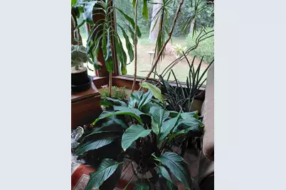 1372 Rail Fence Drive, Columbia, SC 29212 - Photo 5