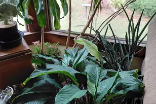 1372 Rail Fence Dr, Columbia, SC 29212 - Photo 5