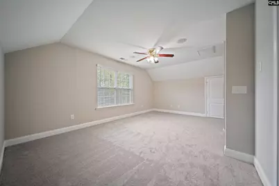 208 Woolbright Lane, Chapin, SC 29036 - Photo 49