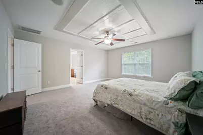 208 Woolbright Lane, Chapin, SC 29036 - Photo 57