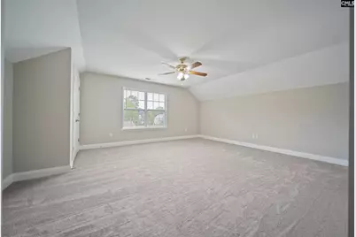208 Woolbright Lane, Chapin, SC 29036 - Photo 55