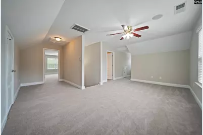 208 Woolbright Lane, Chapin, SC 29036 - Photo 47