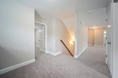 208 Woolbright Lane, Chapin, SC 29036 - Photo 23