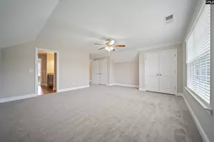 208 Woolbright Ln, Chapin, SC 29036 - Photo 53