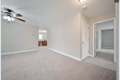 208 Woolbright Lane, Chapin, SC 29036 - Photo 59