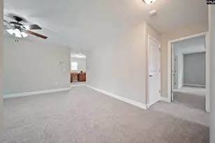 208 Woolbright Ln, Chapin, SC 29036 - Photo 59