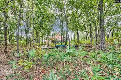 200 Talon Way, Blythewood, SC 29016 - Photo 47