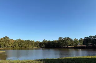 1025 Eagleston Wy, Blythewood, SC 29016 - Photo 51