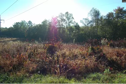 322 Sandspur Road, Camden, SC 29020 - Photo 9