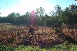 322 Sandspur Rd, Camden, SC 29020 - Photo 9