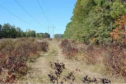 322 Sandspur Road, Camden, SC 29020 - Photo 3