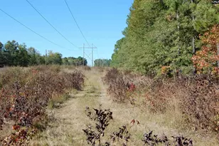 322 Sandspur Rd, Camden, SC 29020 - Photo 3
