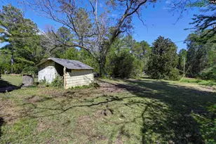 2045 Derrick Hollow Rd, Leesville, SC 29070 - Photo 13