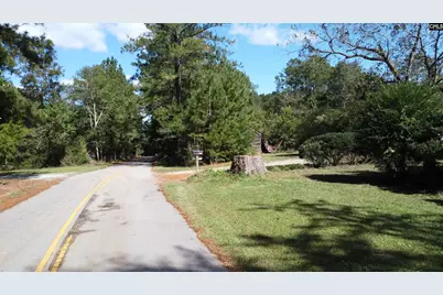 2045 Derrick Hollow Road, Leesville, SC 29070 - Photo 39