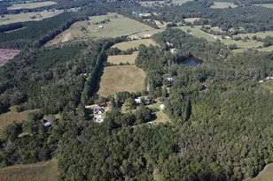 2045 Derrick Hollow Rd, Leesville, SC 29070 - Photo 43