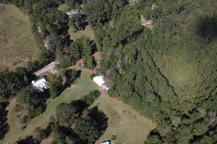 2045 Derrick Hollow Rd, Leesville, SC 29070 - Photo 41