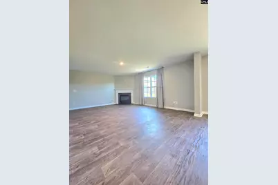 153 Rushton Drive, Chapin, SC 29036 - Photo 9