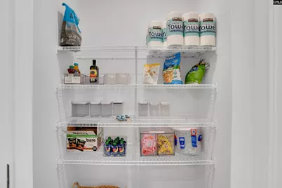 903 Gold Ventura Court, Lexington, SC 29072 - Photo 13