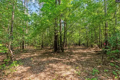 259 Sessions Road, Elgin, SC 29045 - Photo 5