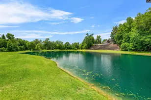 1608 Ridgeway Rd, Lugoff, SC 29078 - Photo 77