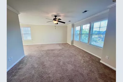 297 Massey Circle, Chapin, SC 29036 - Photo 11