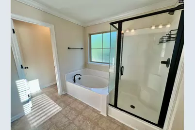 297 Massey Circle, Chapin, SC 29036 - Photo 15