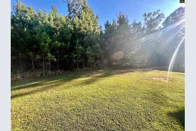 297 Massey Circle, Chapin, SC 29036 - Photo 21