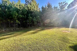 297 Massey Cir, Chapin, SC 29036 - Photo 21