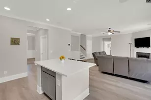 533 Mitscher Wy, Chapin, SC 29036 - Photo 13