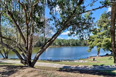 101 Greenbow Court, Columbia, SC 29212 - Photo 55