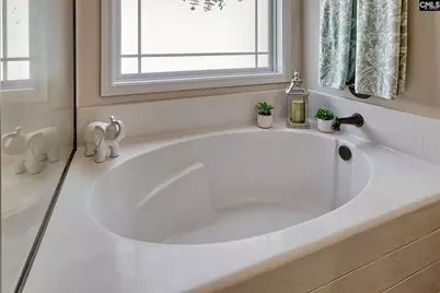 145 Cherokee Pond Court, Lexington, SC 29072 - Photo 35