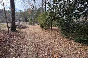 1403 Westshore, Ridgeway, SC 29130 - Photo 19