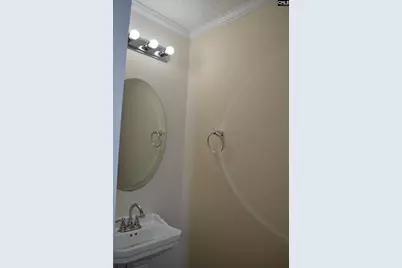 359 Fox Squirrel Circle, Columbia, SC 29209 - Photo 9