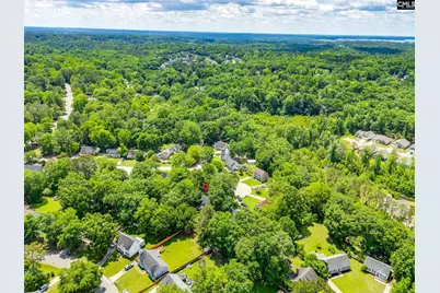 133 Wells Garden Court, Irmo, SC 29063 - Photo 35