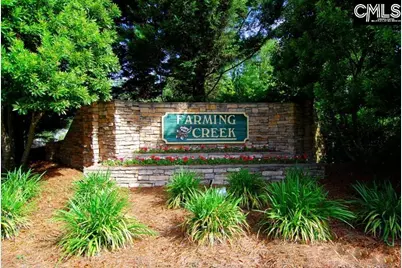 269 Farming Creek Way, Lexington, SC 29072 - Photo 21